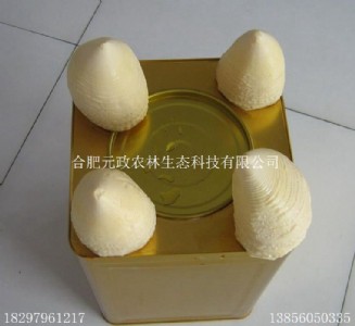 ˮ����S���a�S�Ҍ��I����ˮ����S