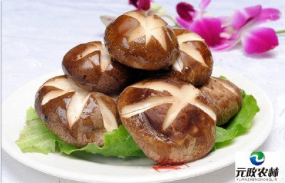 �㹽���l|Ԫ���r��|�㹽���I�������a�S��