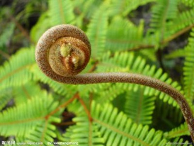 ޱ������|Ԫ���r��|ޱ�˹���