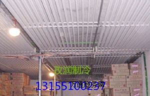 ���t�����ӆ���������r