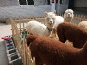 ���u��������