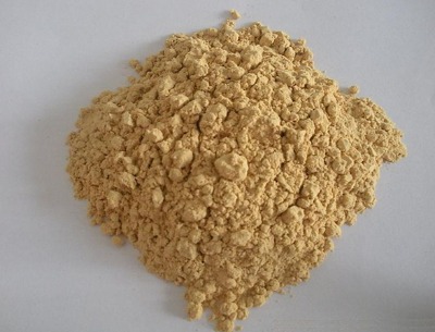 �󶹮��Sͪ ����40�� �|�����C