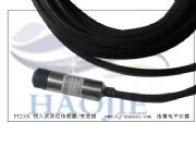 ����PTJ301Ͷ��ʽҺλ������(�D)