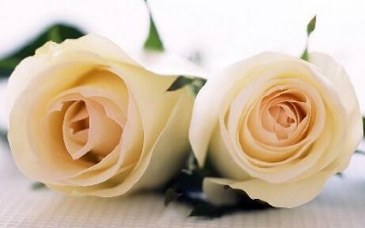 ϴ��Һõ���㾫