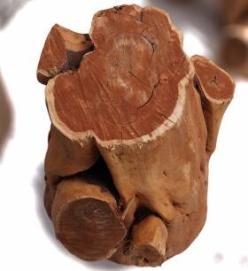 ��ɽ��ľ���㾫