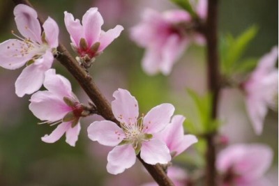 �����һ���㾫