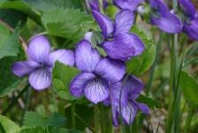 ���_�m��Ĥ�㾫