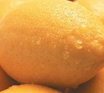 �zˮ�zճ�������㾫