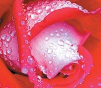 �e�^�Ƶ근�ㄩõ���㾫