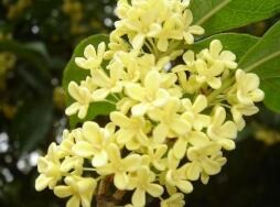 �e�^�Ƶ근�ㄩ-���¹��㾫