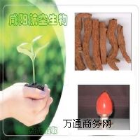 ����(y��ng)������