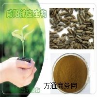 ����ţ����߰