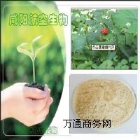 �����˅���߰