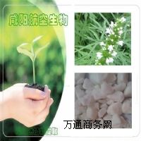 ����(y��ng)�}��ˮ�K�A