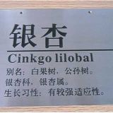 �ؑc�~��⁸��g