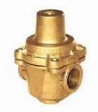 �S�~֧��ʽ�p���y