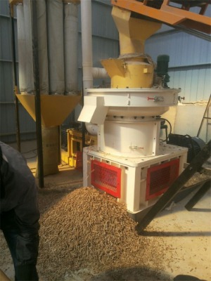 ��֦ľм�w���C,��֦��Ƥ�w���C