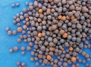 ���������V�����a�S��_�o�������V�σr��