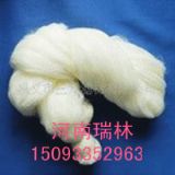 �����Sɽ�w�S���V�σr��_ˮ̎�팣���w�S���V�σr��