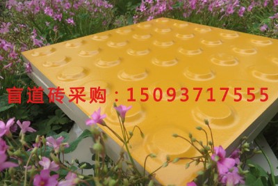 ��ä���u��Փ�����й�ȫ��ä���u2017����͑׃