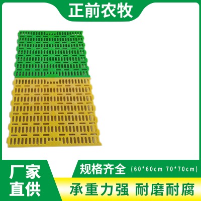 ��������©�S��������