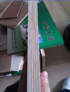 �������γ���ؐ�����Ҿ߰�