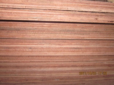 �N����Ӱ幤�S18��Ҿ߰�N������l(f��)