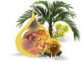 �黯�ؙ���