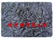 �����z ��ɫ�����z�����z �����z�r��(�D)