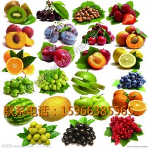 �r�aƷ���r��-���|��콨���ߊW�{������