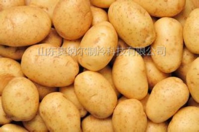 �߲˱��r�켉�R������A�ر��r���g(sh��)Ԕ��