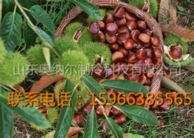 �������r��