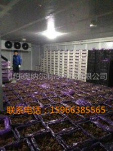 葡萄冷藏庫(kù) 保鮮庫(kù)