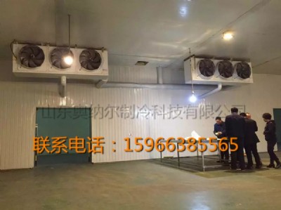 ���r���r��؎�----�W�{������