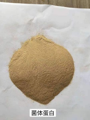 �����ϵ����á������w����