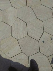 �Sľ�y���Ѽy