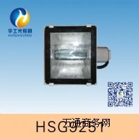 HSG9251 / NTC9251 ��Ч����Ͷ���