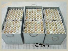 ɽ�u�N��-�V�|ʡ�Qɽ�н�����B