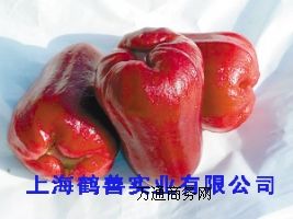 ��(y��u)�|(zh��)ʳƷ��(j��) L-�O����