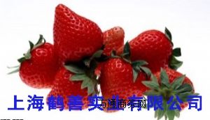 ���|ʳƷ�Ჴ�𮐶���