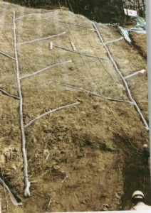 ܛʽ͸ˮ�܇����|���˜�