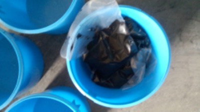 һվֱ�N�p�M�ݾ۰����ܷ��z