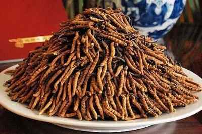 ���_���ն��x�Ĳ݃r��ߵĵط� ͬ�����x����ô����