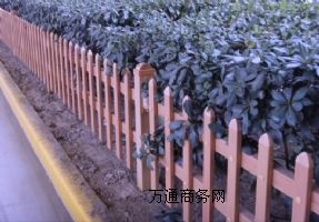 ������ƺ�o��