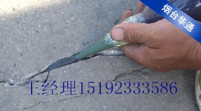 �������a��p�z���a��·�ѿp����