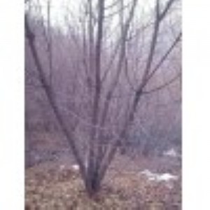 ������Ǘ���ɽ����Ǘ�����Ǘ�������