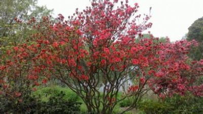 ����ɽ���⡢��Ҏ��ɽ���⡢���ԅ���ɽ����