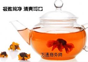 �����½�����ѩ��