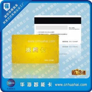 ���I���a�߿��ŗl�����T��