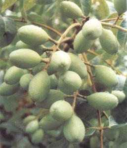 �����S���� �ڙ��� �ϙ��� ������ ����� �ڙ�� �S���